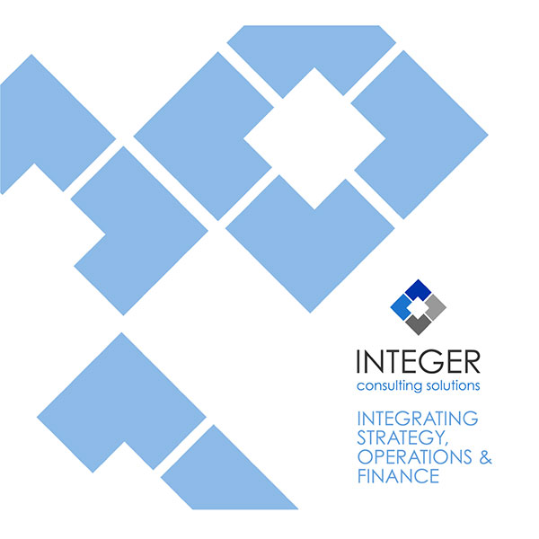 Download the Integer Consulting Solutions brochure